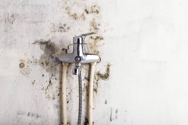 Best Post-Remediation Services in Skidmore, TX
