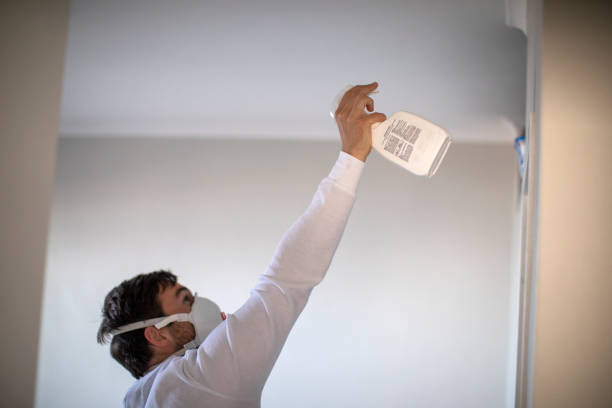 Best Post-Flood Mold Remediation in Skidmore, TX