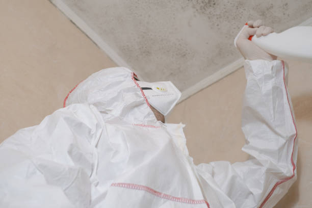 Best Residential Mold Remediation in Skidmore, TX